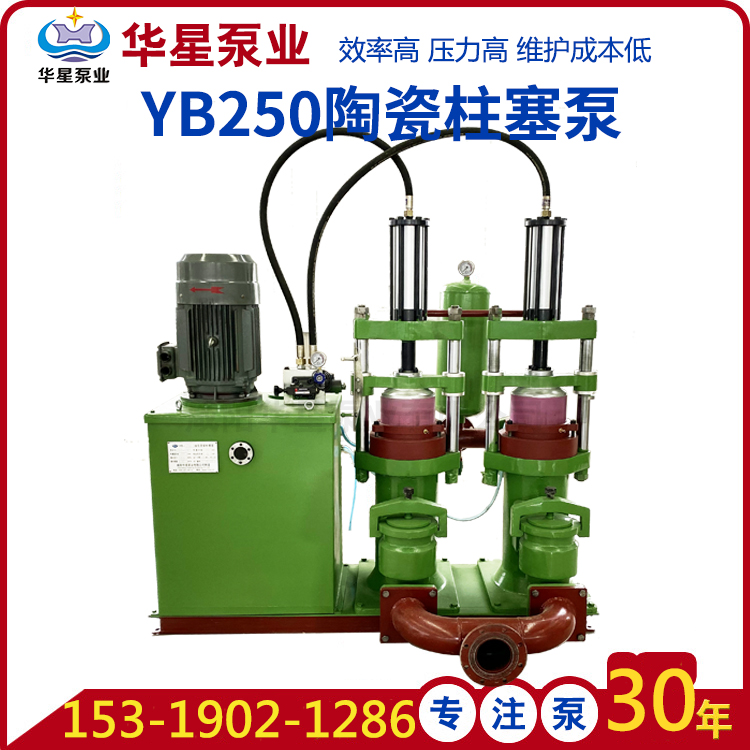 YB250柱塞泵 YB250柱塞泵